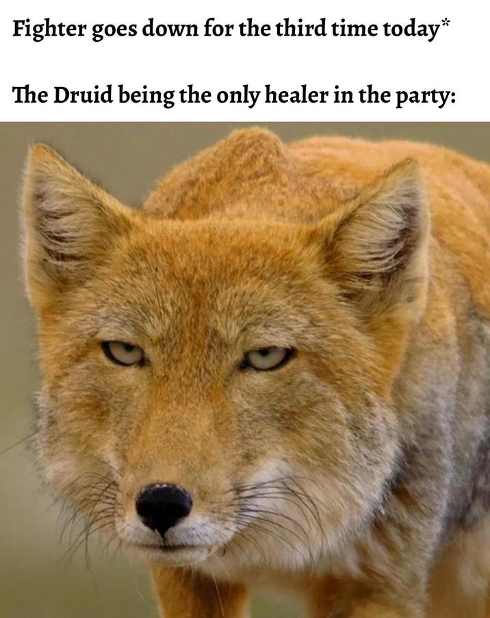 Fighter goes down for the third time today* The Druid being the only healer in the party: