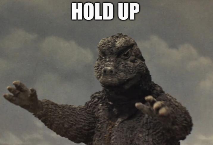 HOLD UP