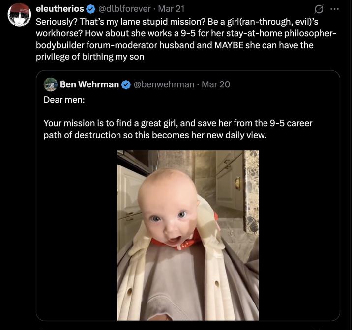 eleutherios @dlblforever • Mar 21 Seriously? That's my lame stupid mission? Be a girl(ran-through, evil)'s workhorse? How about she works a 9-5 for her stay-at-home philosopher- bodybuilder forum-moderator husband and MAYBE she can have the privilege of birthing my son Ben Wehrman Dear men: @benwehrman - Mar 20 Your mission is to find a great girl, and save her from the 9-5 career path of destruction so this becomes her new daily view.