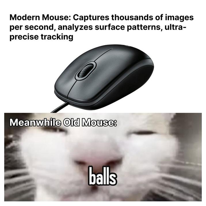 Mouse Balls r memes Know Your Meme mouse-balls-r-memes-know-your-meme