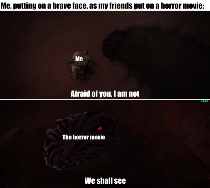 Me, putting on a brave face, as my friends put on a horror movie: Me Afraid of you, I am not The horror movie We shall see u/Hjalle1