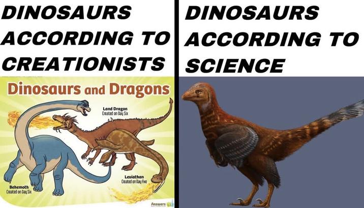 DINOSAURS DINOSAURS ACCORDING TO ACCORDING TO CREATIONISTS Dinosaurs and Dragons SCIENCE Land Dragon Created on Day Six Behemoth Created on Day Six Leviathan Created on Day Five Answers