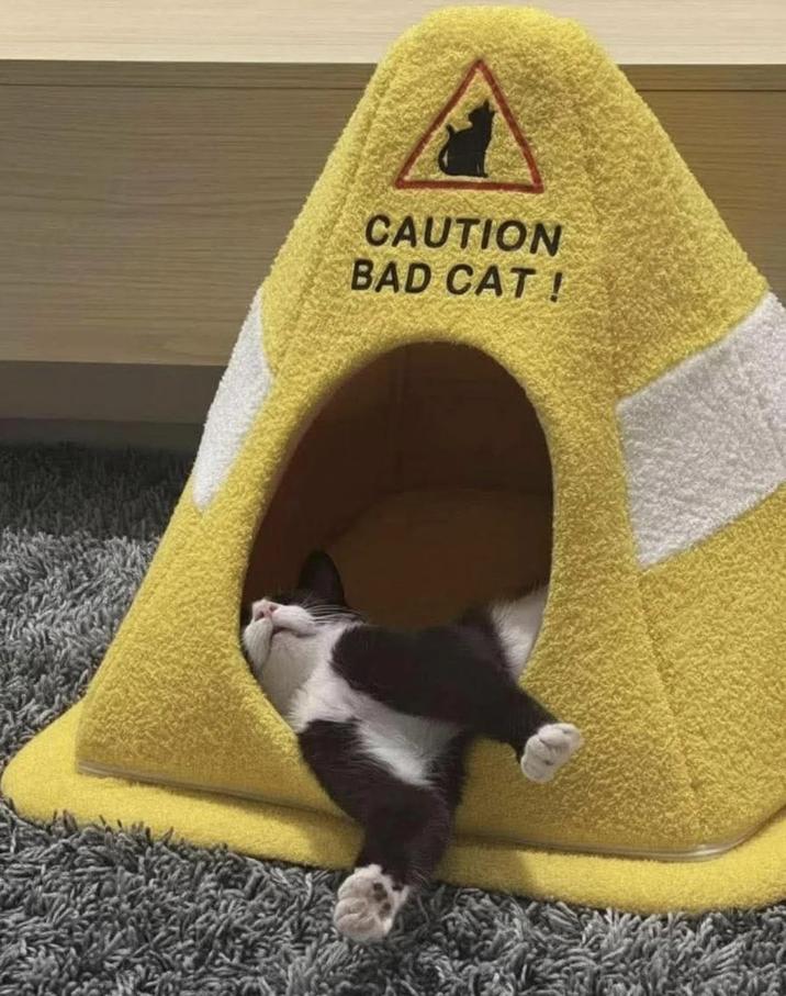 CAUTION BAD CAT!