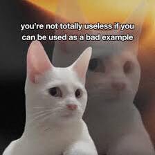 you're not totally useless if you can be used as a bad example