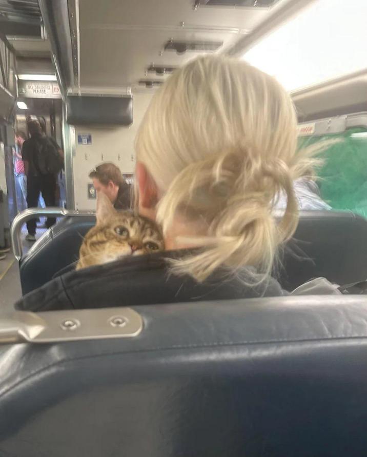 NO SMOKING PLEASE EX