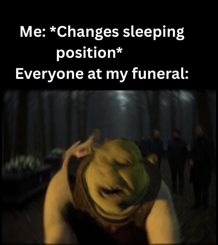 Me: *Changes sleeping position* Everyone at my funeral:
