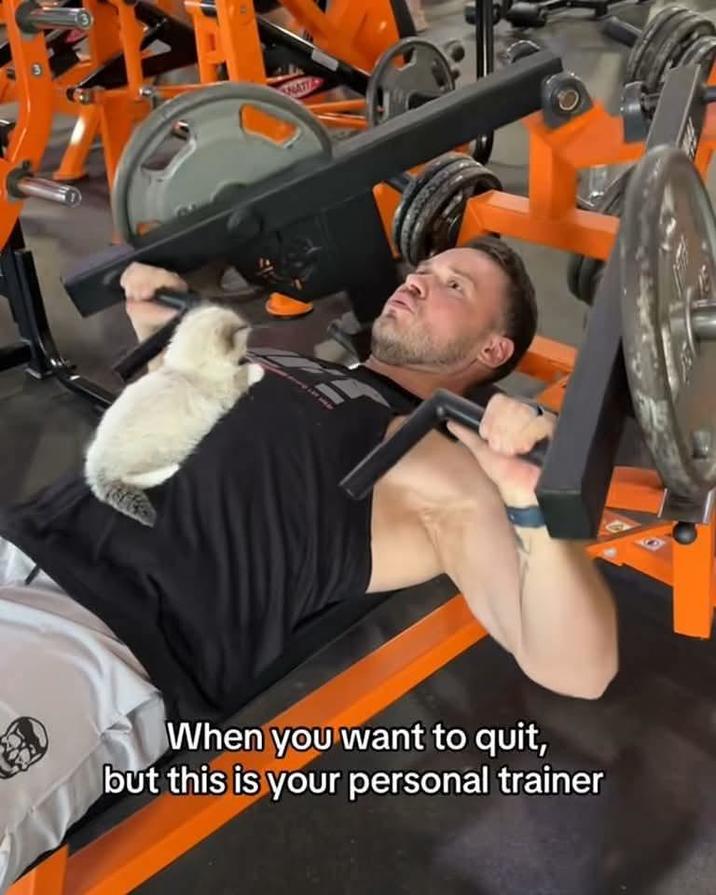 NATI When you want to quit, but this is your personal trainer