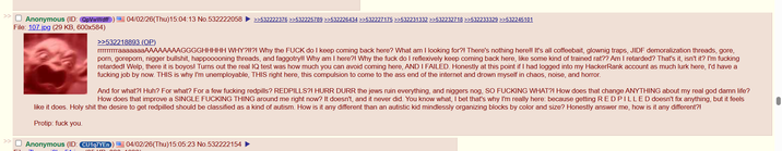 Anonymous (ID: QpVwWdfF 1 04/02/26(Thu)15:04:13 No.532222058 >>532222376 >>532225789 >>532226434 >>532227175 >>532231332 >>532232718 >>532233329 >>532245101 File: 107.jpg (29 KB, 600x584) >>532218893 (OP) rrrrrrrrraaaaaaaAAAAAAAAGGGGHHHHH WHY?!!?! Why the F--- do I keep coming back here? What am I looking for?! There's nothing here!! It's all coffeebait, glownig traps, JIDF demoralization threads, gore, p---, goreporn, n----- b-------, happooooning threads, and faggotry!! Why am I here?! Why the f--- do I reflexively keep coming back here, like some kind of trained rat?? Am I retarded? That's it, isn't it? I'm f------ retarded! Welp, there it is boyos! Turns out the real IQ test was how much you can avoid coming here, AND I FAILED. Honestly at this point if I had logged into my HackerRank account as much lurk here, I'd have a f------ job by now. THIS is why I'm unemployable, THIS right here, this compulsion to come to the ass end of the internet and drown myself in chaos, noise, and horror. And for what?! Huh? For what? For a few f------ redpills? REDPILLS?! HURR DURR the jews ruin everything, and n------ nog, SO F------ WHAT?! How does that change ANYTHING about my real god damn life? How does that improve a SINGLE F------ THING around me right now? It doesn't, and it never did. You know what, I bet that's why I'm really here: because getting RED PILLED doesn't fix anything, but it feels like it does. H-------- the desire to get redpilled should be classified as a kind of autism. How is it any different than an autistic kid mindlessly organizing blocks by color and size? Honestly answer me, how is it any different?! Protip: f--- you. ☐ Anonymous (ID: CU1q7YEn | 04/02/26(Thu)15:05:23 No.532222154 VOC KD