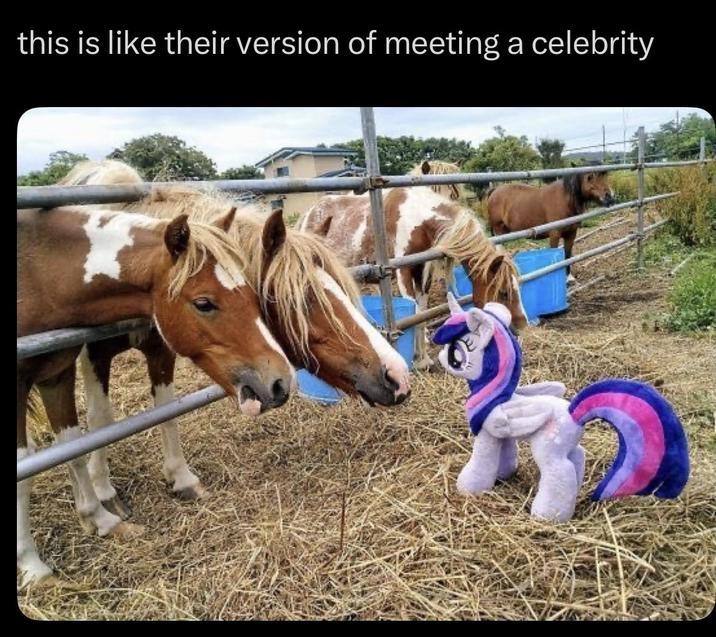 this is like their version of meeting a celebrity