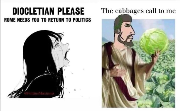 DIOCLETIAN PLEASE ROME NEEDS YOU TO RETURN TO POLITICS Fultius Maximus The cabbages call to me