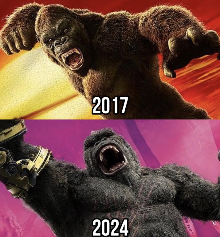 2017 2024