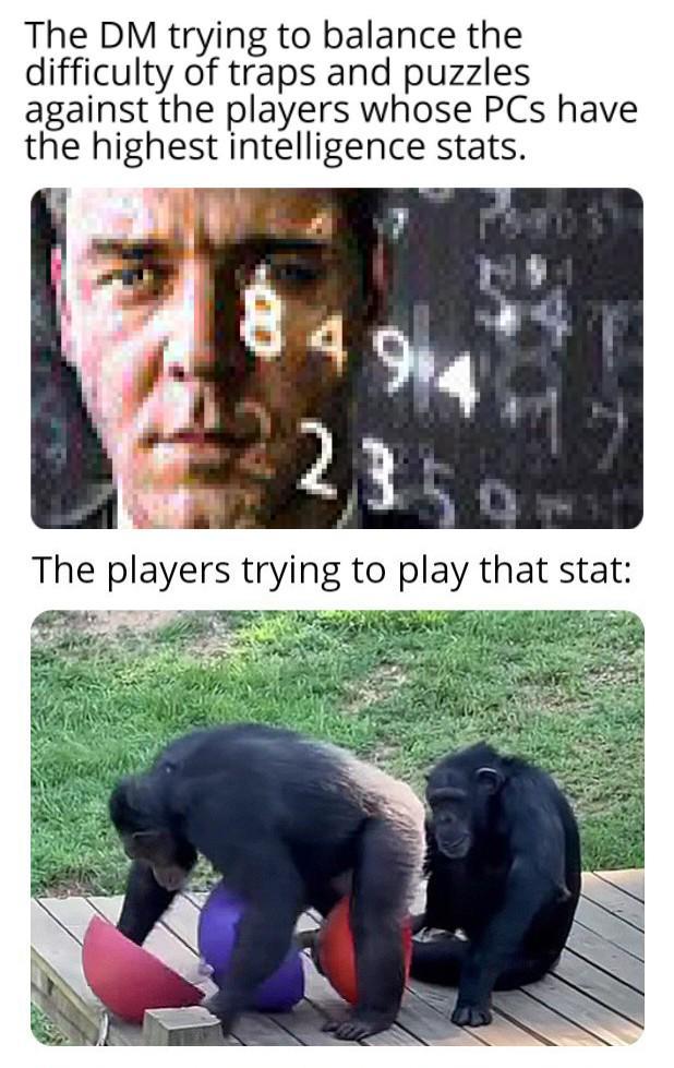 The DM trying to balance the difficulty of traps and puzzles against the players whose PCs have the highest intelligence stats. 8494 2235 The players trying to play that stat: