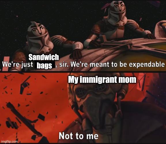Sandwich We're just bags, sir. We're meant to be expendable My immigrant mom Not to me imgflip.com
