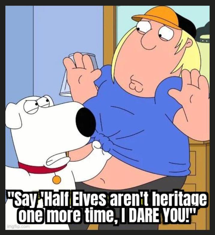 ६ "Say Half Elves aren't heritage one more time, I DARE YOU!" imgflip.com