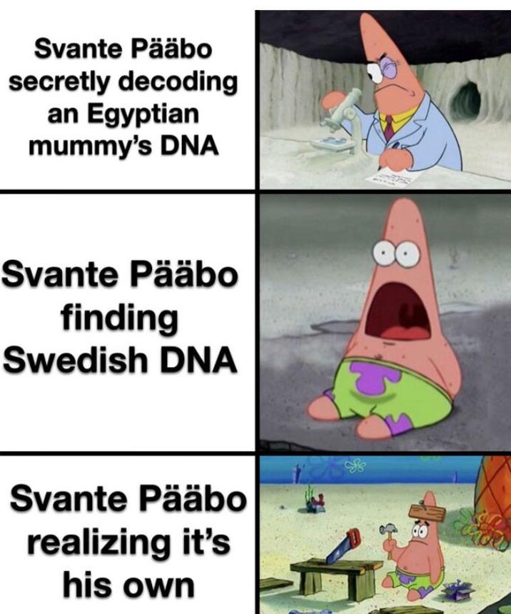Svante Pääbo secretly decoding an Egyptian mummy's DNA Svante Pääbo finding Swedish DNA Svante Pääbo realizing it's his own 道