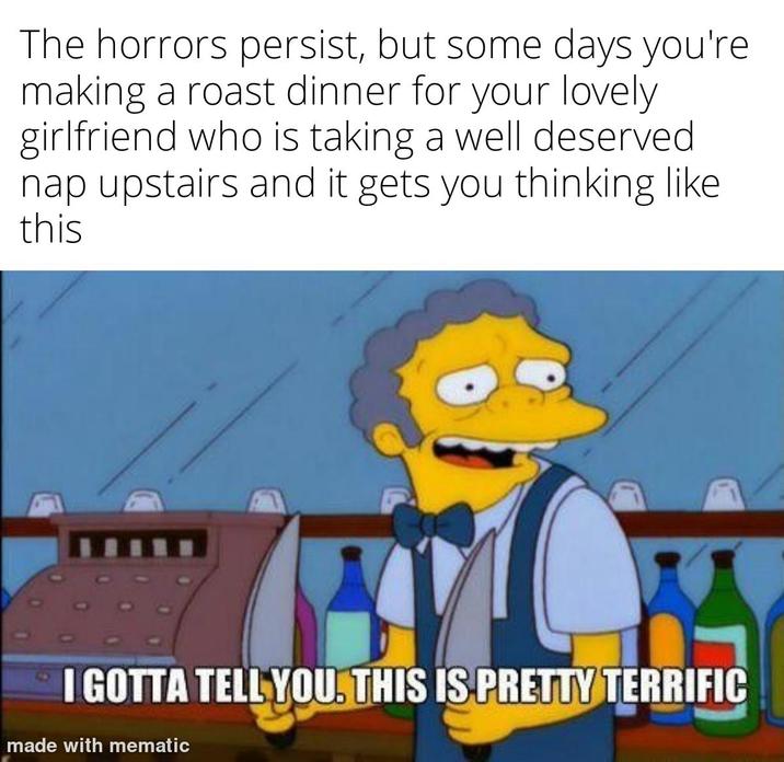 The horrors persist, but some days you're making a roast dinner for your lovely girlfriend who is taking a well deserved nap upstairs and it gets you thinking like this I GOTTA TELL YOU. THIS IS PRETTY TERRIFIC made with mematic