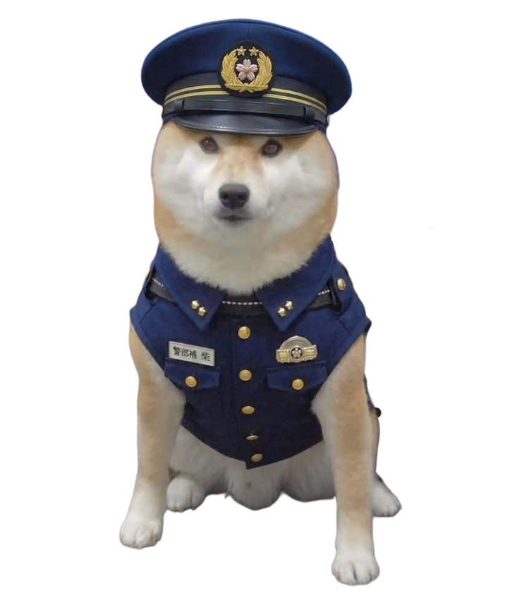 【警部補 柴