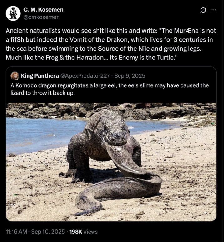 C. M. Kosemen @cmkosemen Ancient naturalists would see s--- like this and write: "The MurÆna is not a fifSh but indeed the Vomit of the Drakon, which lives for 3 centuries in the sea before swimming to the Source of the Nile and growing legs. Much like the Frog & the Harradon... Its Enemy is the Turtle." King Panthera @ApexPredator227 Sep 9, 2025 A Komodo dragon regurgitates a large eel, the eels slime may have caused the lizard to throw it back up. 11:16 AM · Sep 10, 2025 198K Views