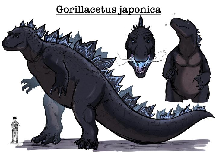 Gorillacetus japonica