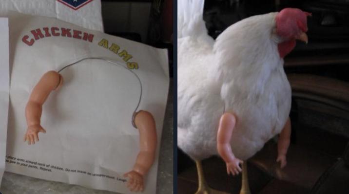 CHICKEN ARMO place as around neck af chicken. Do not leave an pee is your pants Repeet