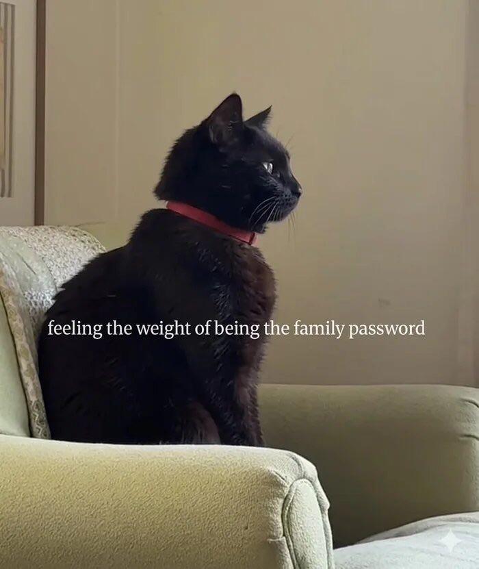 feeling the weight of being the family password