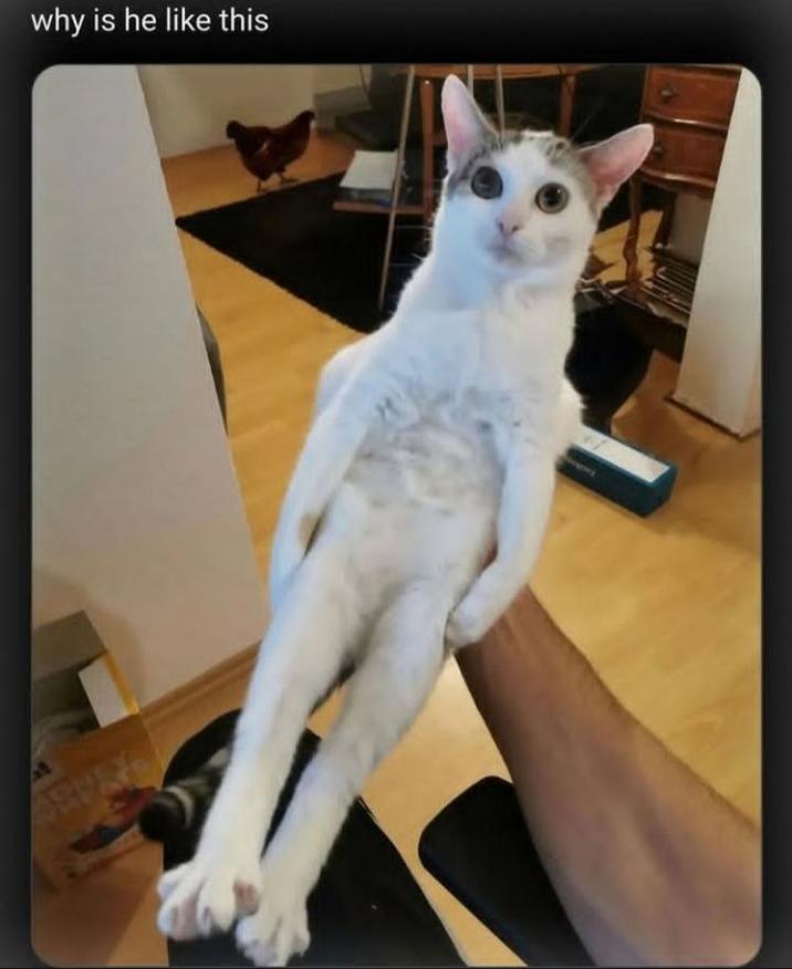 why is he like this