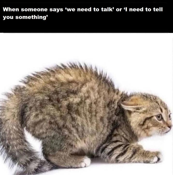 When someone says 'we need to talk' or 'I need to tell you something'