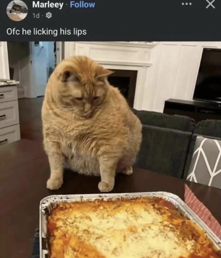 Marleey. Follow 1d- Ofc he licking his lips N X