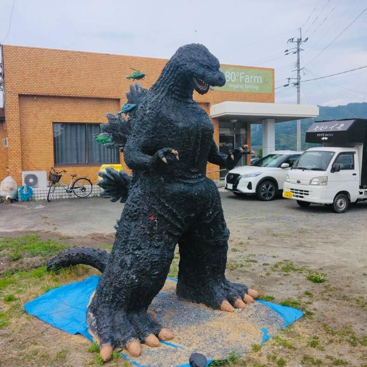 P 80°Farm organic faming 80°Farm Ra14 POTE dolce