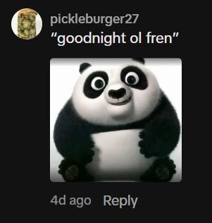 An image of baby Po from Kung Fu Panda. He says, "Goodnight old fren."