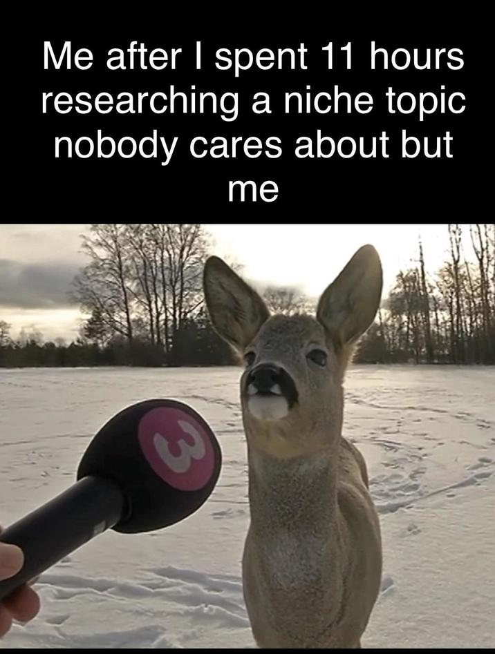 Me after I spent 11 hours researching a niche topic nobody cares about but me 3
