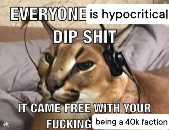 EVERYONE is hypocritical DIP S--- IT CAME FREE WITH YOUR F------ being a 40k faction