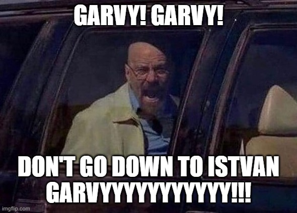 GARVY! GARVY! DON'T GO DOWN TO ISTVAN imgflip.com GARVYYYYYYYYYYY!!!