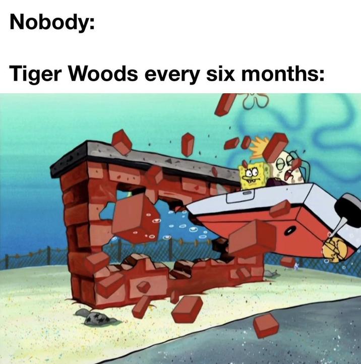 Nobody: Tiger Woods every six months: