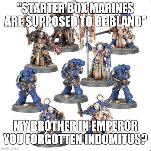 "STARTER BOX MARINES ARE SUPPOSED TO BE BLAND" MY BROTHER IN EMPEROR YOU FORGOTTEN INDOMITUS? imgflip.com