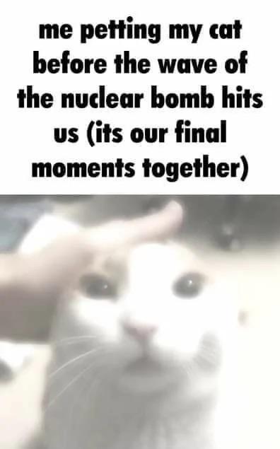 me petting my cat before the wave of the nuclear bomb hits us (its our final moments together)