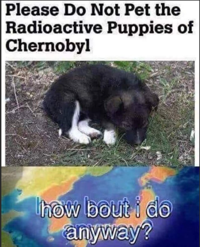 Please Do Not Pet the Radioactive Puppies of Chernobyl how bout i do anyway?