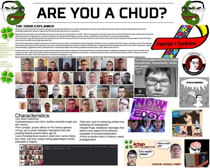 Only chuds will dislike this lol.