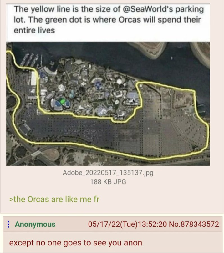 The yellow line is the size of @SeaWorld's parking lot. The green dot is where Orcas will spend their entire lives Adobe 20220517_135137.jpg 188 KB JPG >the Orcas are like me fr Anonymous 05/17/22(Tue)13:52:20 No.878343572 except no one goes to see you anon