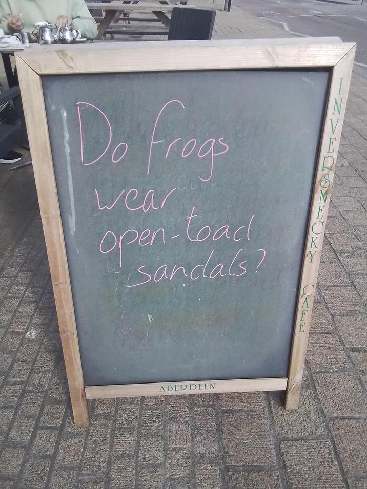 Do frogs wear open-toad sandals? A F E ABERDEEN KN Y C
