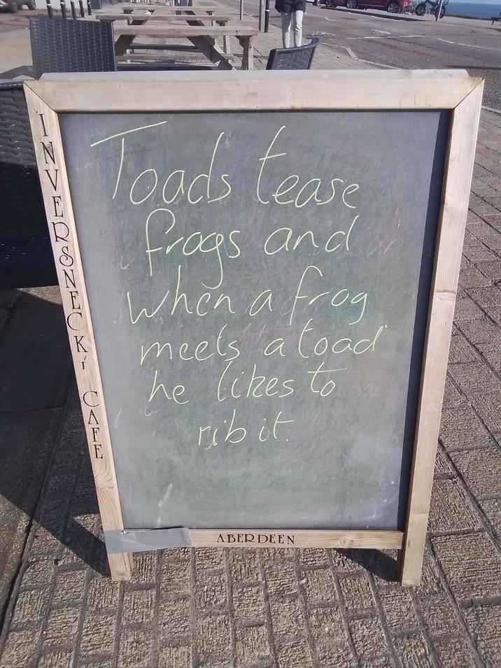 R INVEASNETKY CALED Toads tease frogs and When a frog meets a load he likes to ribit. w ABERDEEN