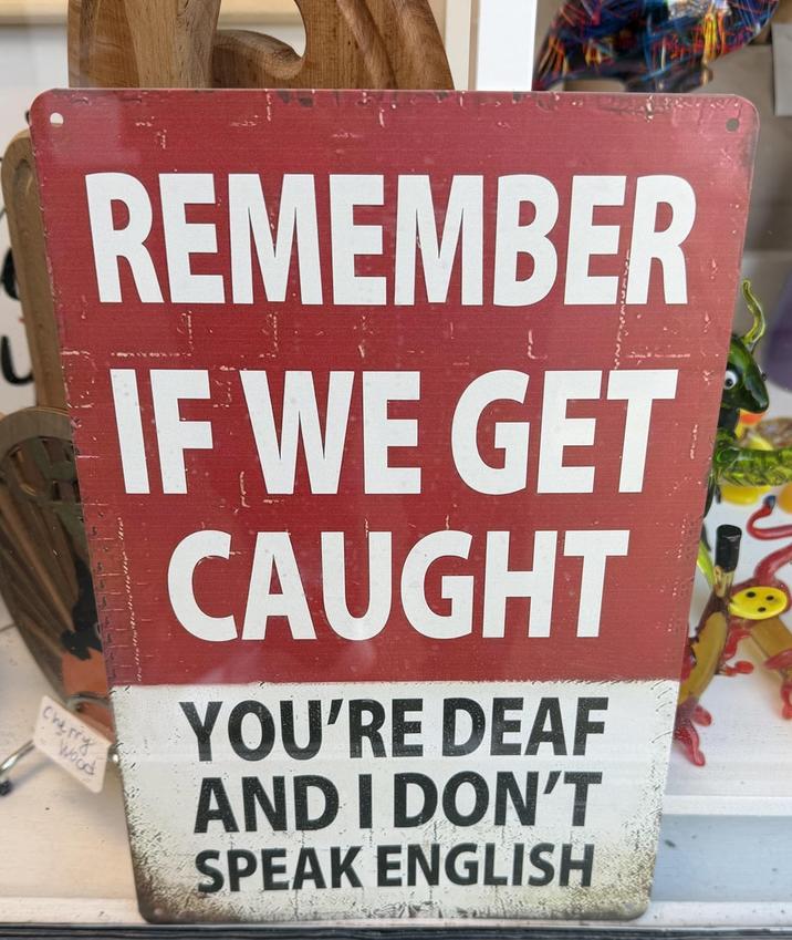REMEMBER IF WE GET CAUGHT Cherry Wood YOU'RE DEAF AND I DON'T SPEAK ENGLISH