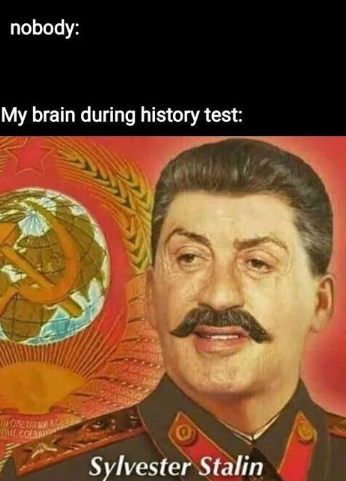 nobody: My brain during history test: КОРОЛЕТАЕМИ ВР PAIL COL Sylvester Stalin