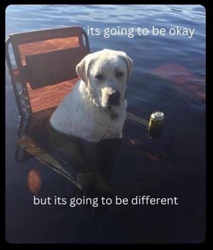 its going to be okay but its going to be different