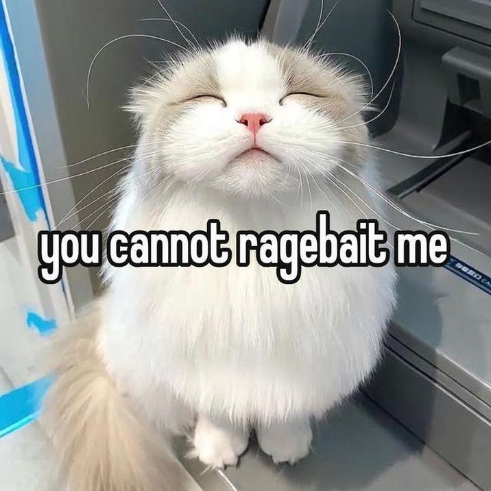 you cannot ragebait me BEBO CA