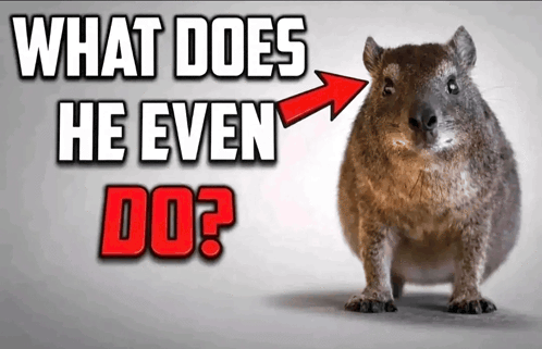 WHAT DOES HE EVEN DO?