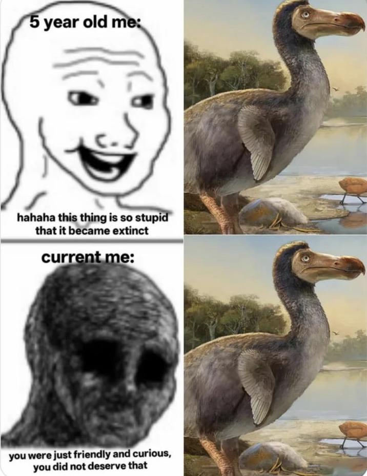 5 year old me: hahaha this thing is so stupid that it became extinct current me: you were just friendly and curious, you did not deserve that