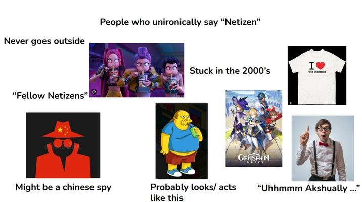 Never goes outside "Fellow Netizens" People who unironically say “Netizen” MIRA Stuck in the 2000's Might be a chinese spy Probably looks/ acts like this GENSHIN IMPACT I❤ the internet "Uhhmmm Akshually..."