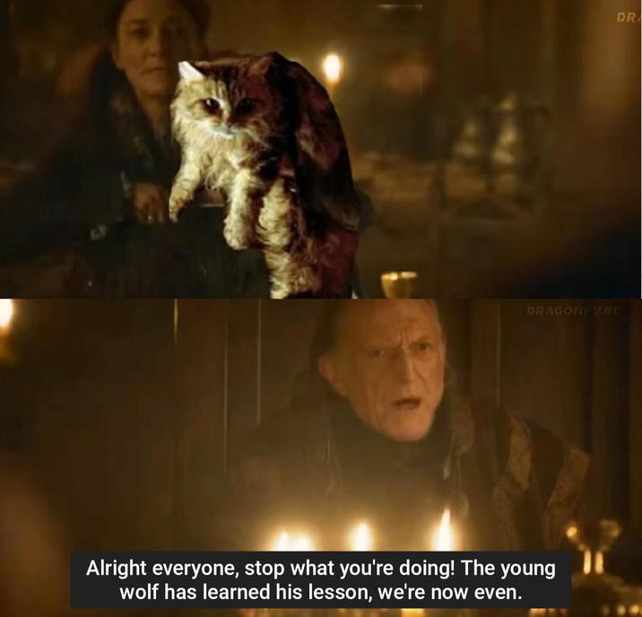 DRAGONFYRE Alright everyone, stop what you're doing! The young wolf has learned his lesson, we're now even. DR