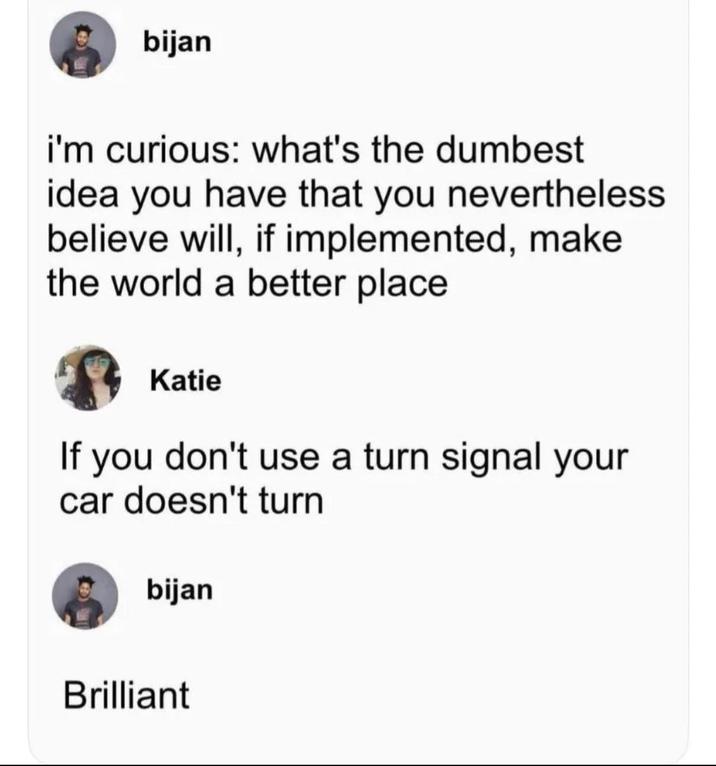 bijan i'm curious: what's the dumbest idea you have that you nevertheless believe will, if implemented, make the world a better place Katie If you don't use a turn signal your car doesn't turn bijan Brilliant